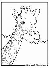 Iheartcraftythings Giraffe Copies sketch template