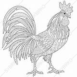 Rooster Coloring Adult Pages Outline Zentangle Stylized Chicken Cock Drawing Adults Illustration Stock Tattoo Sketch Cartoon Etsy Print Printable Chickens sketch template