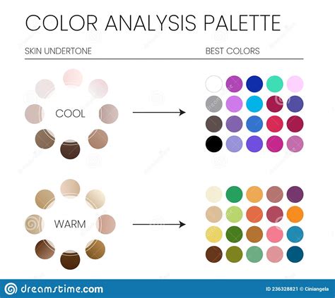 Color Analysis Palette By Cool And Warm Skin Undertones And The Best