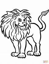 Lion Coloring Pages African Male Printable Drawing Color Lions Gif sketch template