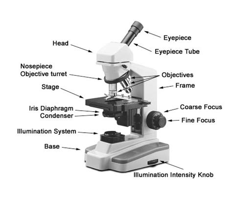 microscope depot wwwmicroscope depotcom home page