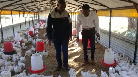 award winning poultry farmer hosts young entrepreneurs