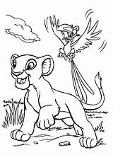 Coloring Zazu Pages Simba Lion King Colouring Disney Cartoon Kids Roi Getdrawings Kidsplaycolor sketch template