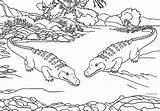 Coloring Swamp Pages Animals Printable Getcolorings sketch template