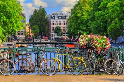 top  coolest tours    amsterdam travel blog  flying pig