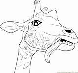 Giraffe Coloring Funny Face Pages Color Head Printable Coloringpages101 Drawing Getdrawings Getcolorings Animals Kids sketch template