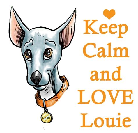louie  star    blue dog childrens book series wwwthelittlebluedogcom dog