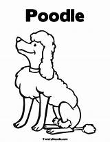 Poodle Poodles sketch template