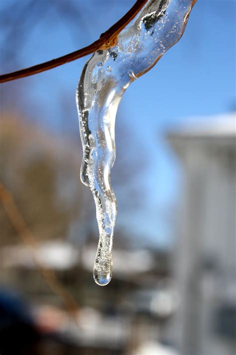 melting icicle picture  photograph  public domain