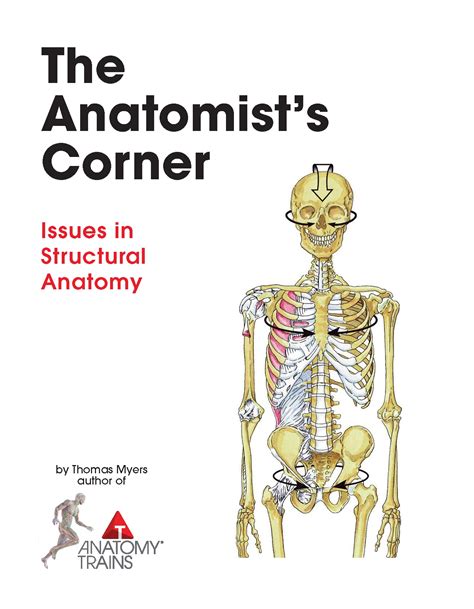 anatomists corner issues  structural anatomy  tom myers