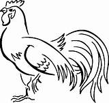 Chicken Gallos Hen Slepice Kure sketch template