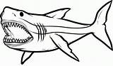 Shark Coloring Pages Printable Megalodon Sharks Kids Drawing Big Angry Print Tiger Clipart Tail Great Etk Coloringhome Search Template Clipartbest sketch template