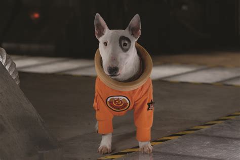 foto de space buddies cachorros en el espacio foto  sobre
