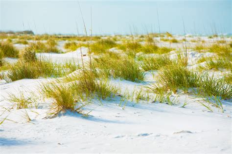photography  grass  sand  stock photo