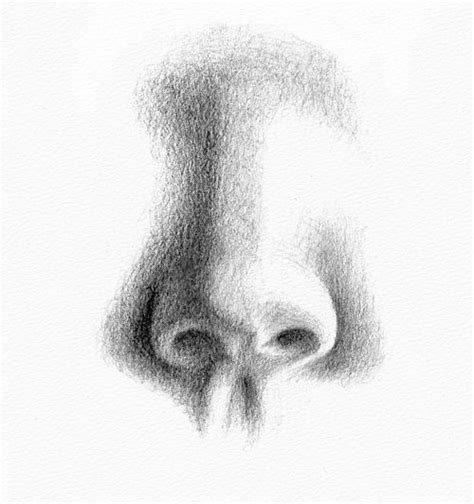 pencil portrait drawing   draw  nose