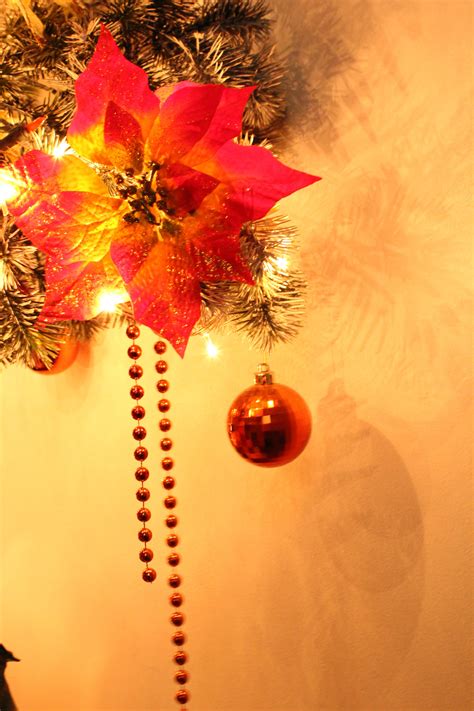 christmas background   stock photo public domain pictures