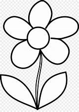 Bunga Matahari Mewarnai Putih Pngdownload sketch template