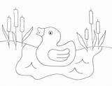 Coloring Tadpole Pond Duck Folk Pages Getcolorings Wee Umbrella Froggie Duckie Cycle Life Appliques Getdrawings sketch template