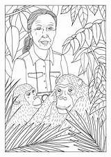 Goodall Chimpanzees Lorna Johnstone sketch template