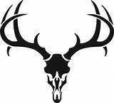 Deer Skull Clip Clipart Designs sketch template