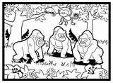 Coloring Gorillas Gorilla Magical Forest Ages Strong Sheet Great Top Pages sketch template