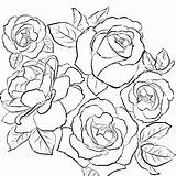 Rose Garden Coloring Getdrawings Drawing sketch template
