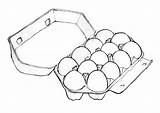 Egg Drawing Carton Eggs Dozen Outline Baker Clipart Pack Package Concept Bakers Getdrawings Food Cartons Beachpackagingdesign sketch template