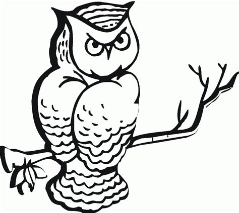 hard owl clipart   cliparts  images  clipground