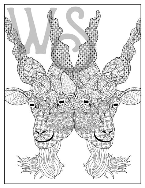 goat face coloring page  pack etsy
