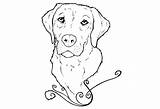 Labrador Lab Coloring Pages Yellow Dog Retriever Drawing Puppy Golden Chocolate Line Puppies Colouring Drawings Printable Book Realistic Kids Print sketch template
