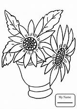 Sunflower Sunflowers Getdrawings Converted Whitesbelfast Realistic sketch template