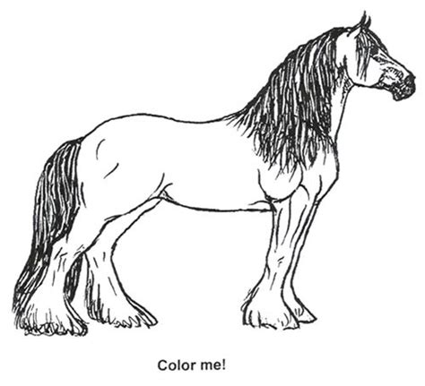 usa clydesdale preservation foundation horse coloring pages horse