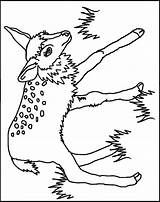 Coloring Pages Fawn Colouring Thekidzpage Kids Sheets Popular Coloringhome sketch template