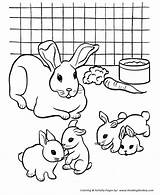 Coloring Pages Rabbit Pets Rabbits Cage Pet Color Colouring Different Honkingdonkey Varieties Recognize Educational Species Activity Students Fun Help sketch template