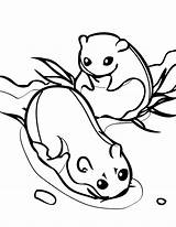 Arctic Animals Lemming Coloring Couple sketch template