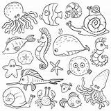Coloring Ocean Book Istockphoto Animal Pages sketch template