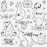 Forest Animals Drawing Silhouette Outline Cute Names Animal Simple Illustration Vector Drawings Animaux Clipart Set Woodland Easy Coloring La Coloriage sketch template