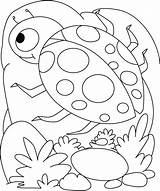 Coloring Pages Ladybug Insect Printable Kids Shell Insects Egg Colouring Lady Bug Sheets Color Bird Bestcoloringpages Cartoon Rocks Getdrawings Getcolorings sketch template