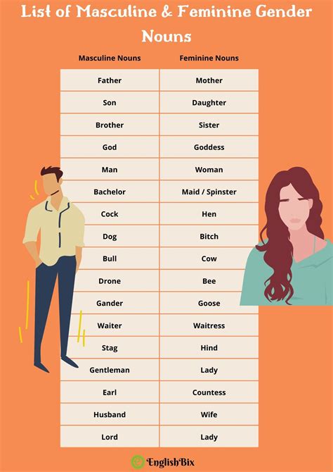 masculine  feminine nouns