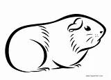 Guinea Pig Coloring Pages Drawings Printable Kids Color Adults Pigs Print Adult Book Friends Dog sketch template