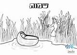 Anash Torah Dvar Shemos Presents Weekly sketch template