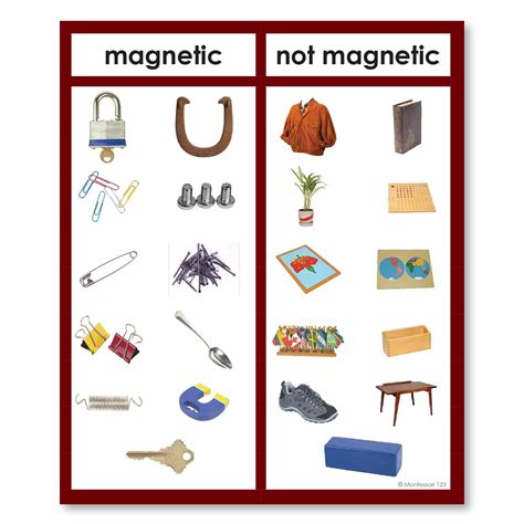 magnetic   magnetic photograph sorting cards montessori