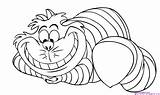 Cat Alice Wonderland Cheshire Coloring Pages Drawings Drawing Chesire Cartoon Colouring Disney Biz Characters sketch template