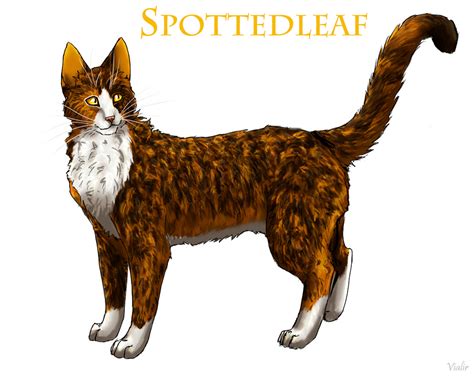 spottedleaf  vialir  deviantart