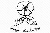 Cherokee Rose Georgia Flower State Drawing Craft Svg Flowers Getdrawings Creative Fabrica sketch template