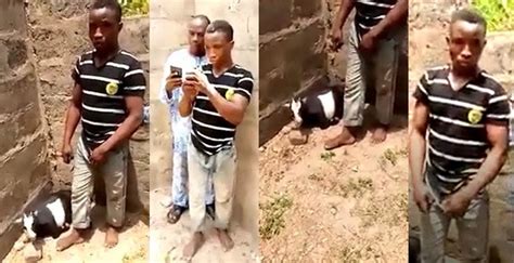 Man Caught Red Handed Having Sex With A Goat In Ekiti Video