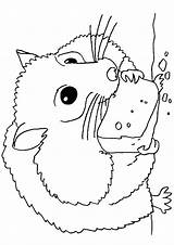 Hamster Coloring Pages Realistic Kids Printable Hamsters Coloring4free Color Eating Colouring Print Adult Book Cute Getcolorings Cheese Books sketch template