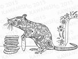 Coloring Rat Adult Cracker Stacker Rats Gift Wall Floral Etsy Zentangle Colouring Pages продавец Choose Board sketch template