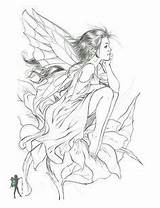 Coloring Pages Fairy Fairies Para Hadas Adult Drawings Adults Mermaid Enchanted Books Designs Printable Sheets Ausmalbilder Pintar Colorear Various Fee sketch template