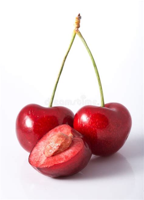 cherry  seed stock image image  cherry natural